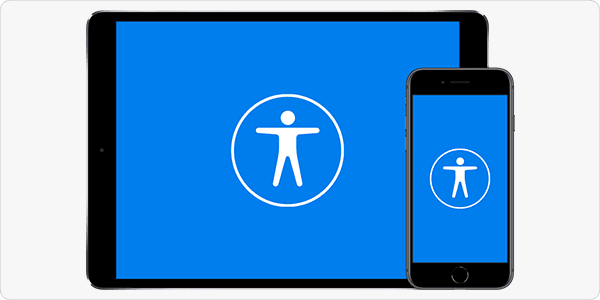 Elements of Accessibility